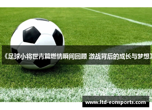 《足球小将世青篇燃情瞬间回顾 激战背后的成长与梦想》