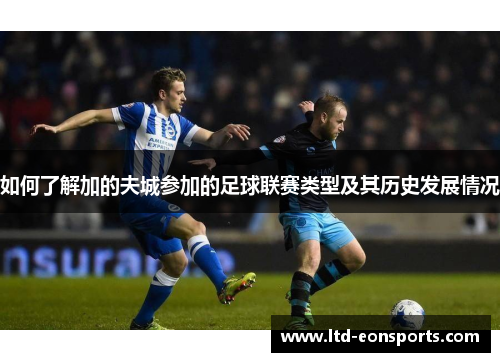 如何了解加的夫城参加的足球联赛类型及其历史发展情况